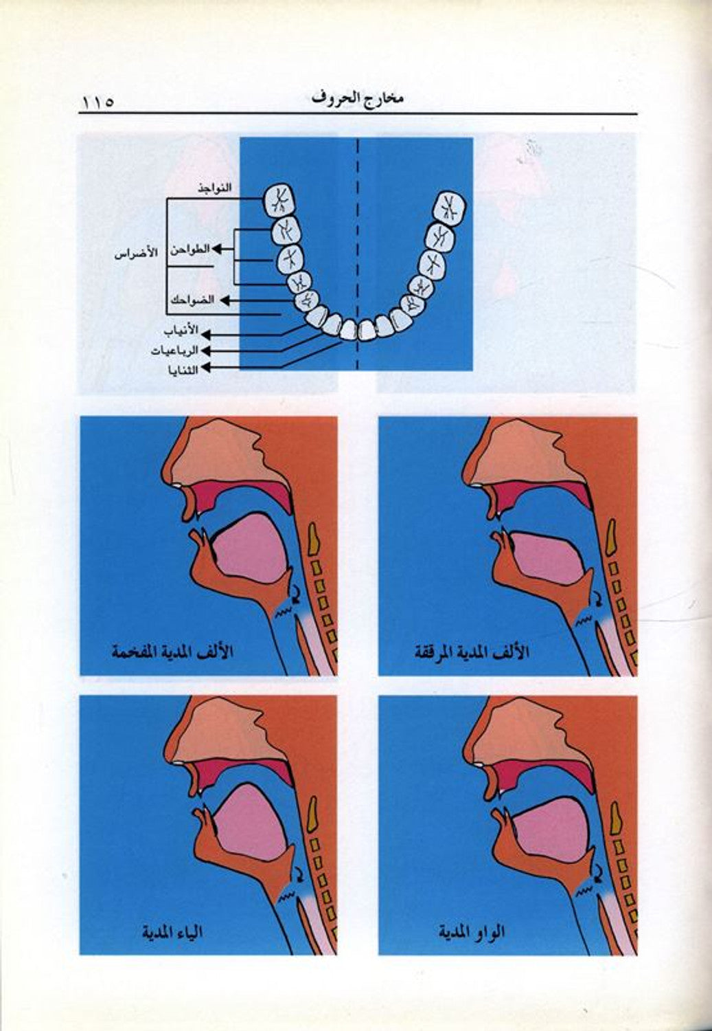 Al-Muneer المنير في احكام التجويد by J. Muhafaza 'la AlQuran AlKarim