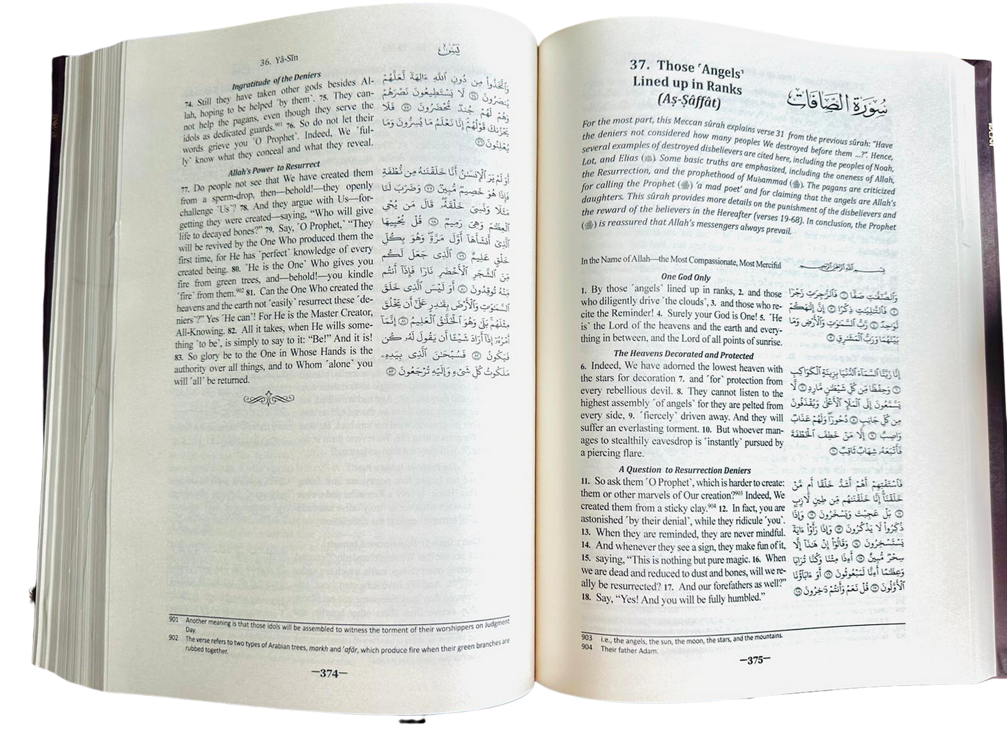 The Clear Quran with Arabic Text ( English translation) Large print edition