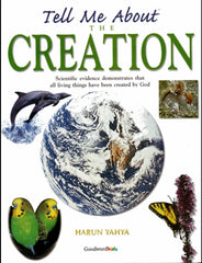 Tell Me About the Creation