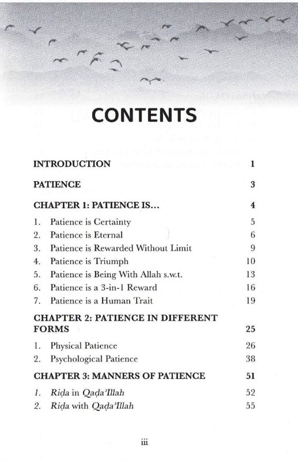 Wings of Faith Patience and Gratitude by Omar Suleiman