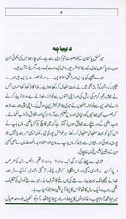 تیرے جانے کے بعد After You Were Gone (Urdu)