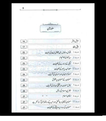 Nukhbatul Sahiheen Urdu / نُخبتُه الصّحِیحَین اردو