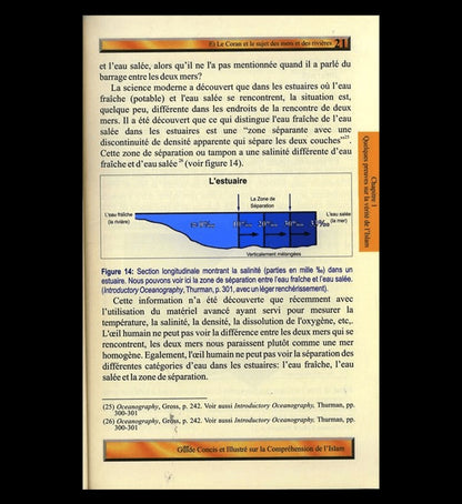 (French)A Brief Illustrated Guide to understand Islam (Guide Concis Et Illustre Sur La Comprehension De L’Islam)