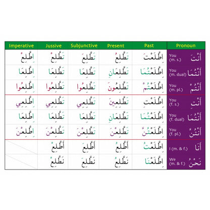 Gateway To Arabic Verb Conjugation Flashcards (Set Three)