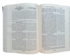 The Clear Quran with Arabic Text ( English translation) Large print edition