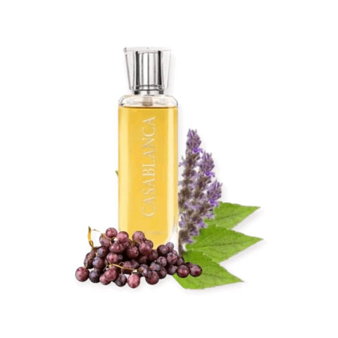 Casablanca Perfume 100ml EDP by Swiss Arabian - Top Note: Apple, Grapes  Middle Note: Patchouli, Orris  Base Note: Amber, Balsam, Musk, Vanilla