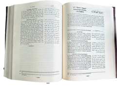 The Clear Quran with Arabic Text ( English translation) Large print edition