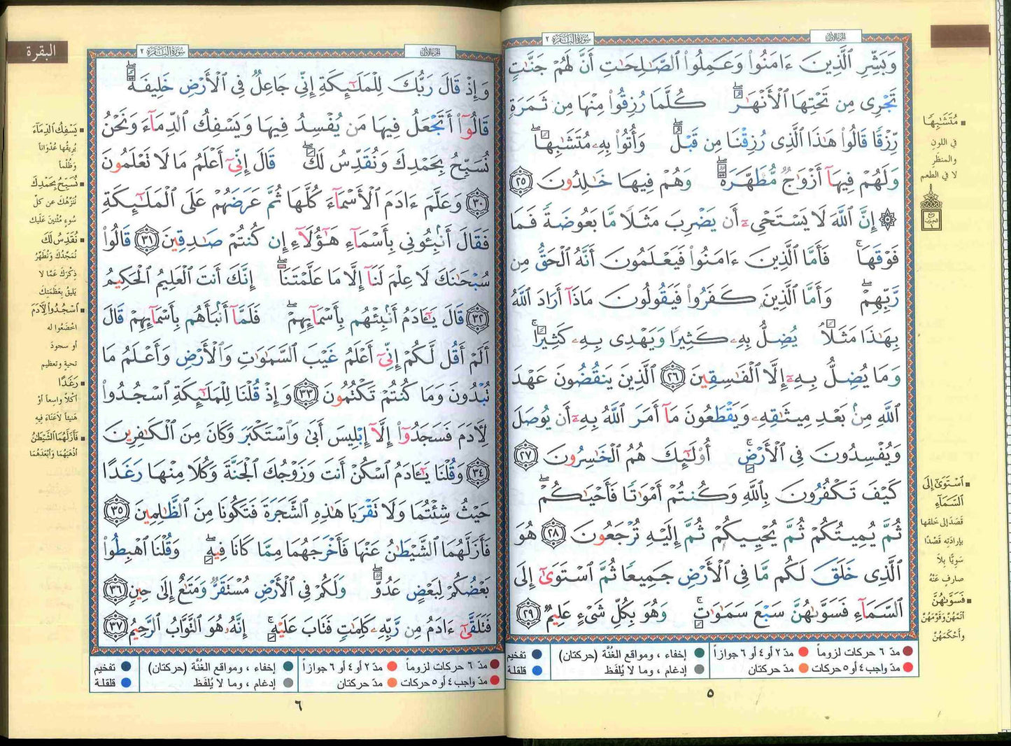 Tajweed Quran - Color coded Arabic only Large 17x24cm DM Delux